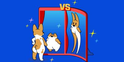 Kurzer vs. langer Content: Welcher ist besser für SEO?