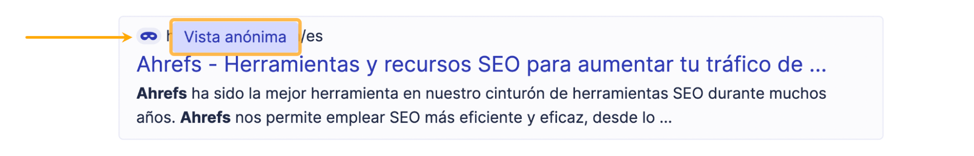 Vista anónima de Startpage.