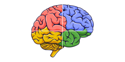 El Knowledge Graph de Google Explicado: Cómo influye en el SEO