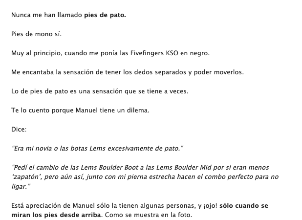 Historias de newsletter de Zami