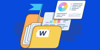 Wise.com Caso de Estudio SEO: 5 Razones Por las que Su SEO Triunfa