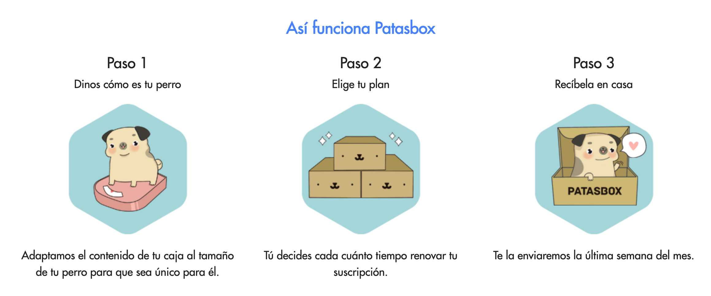 Monetización de la suscripción a Patasbox