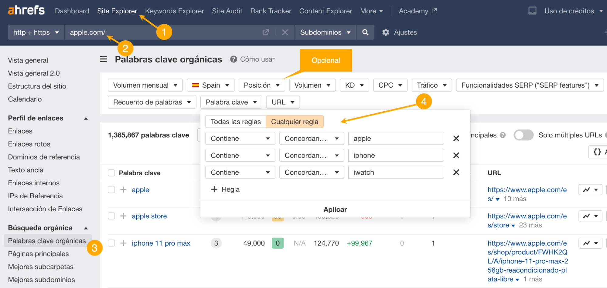 Resultados SERP de las palabras clave de marca en las que se posiciona Apple.
