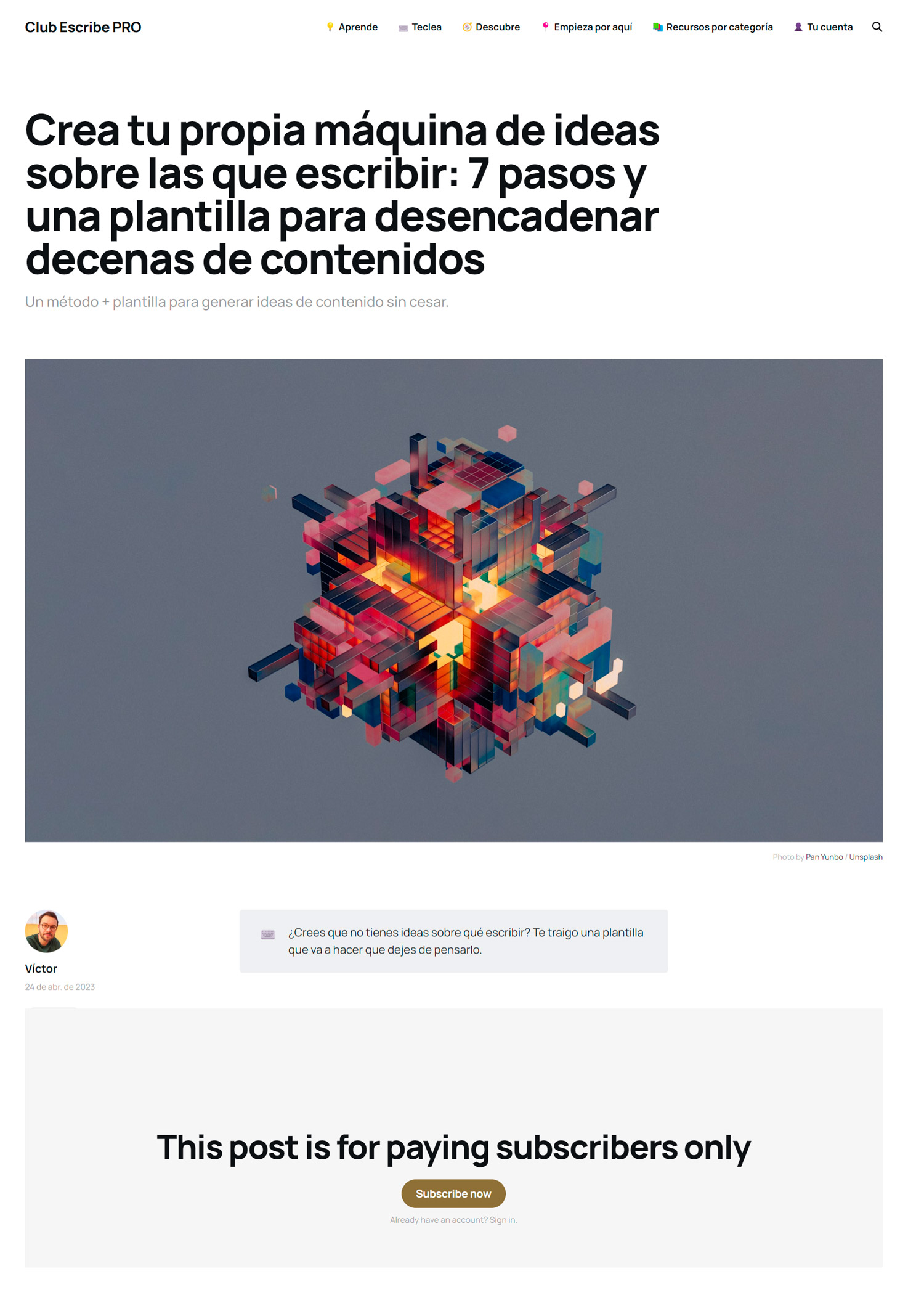 Ejemplo de una newsletter de pago