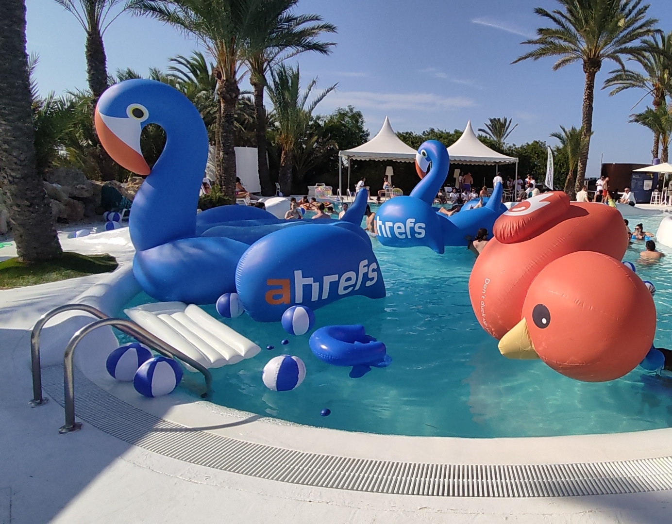 Flamencos de Ahrefs en la piscina de SEonthebeach 2023