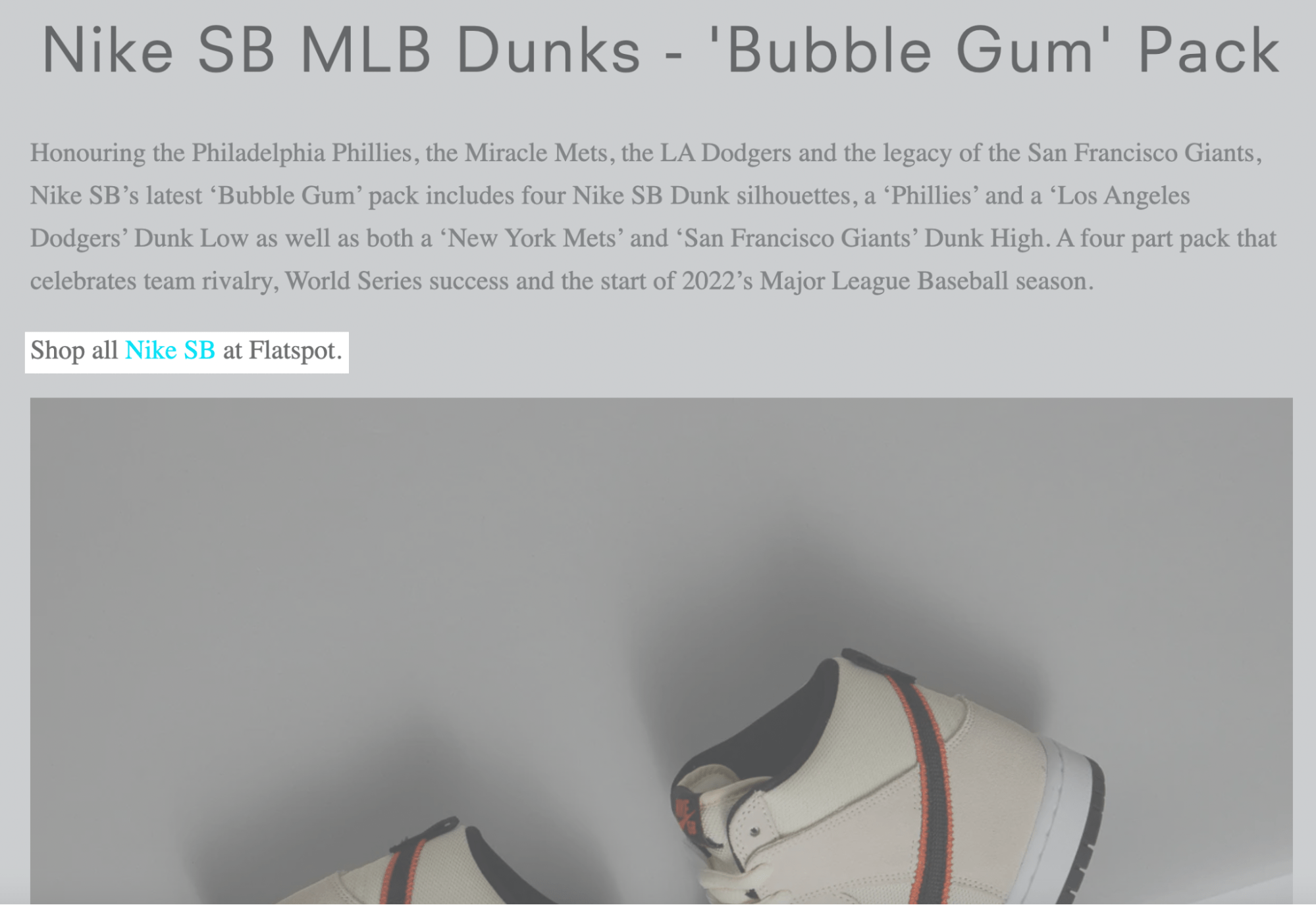 Flatspot promocionando zapatillas de Nike SB en un post de su blog
