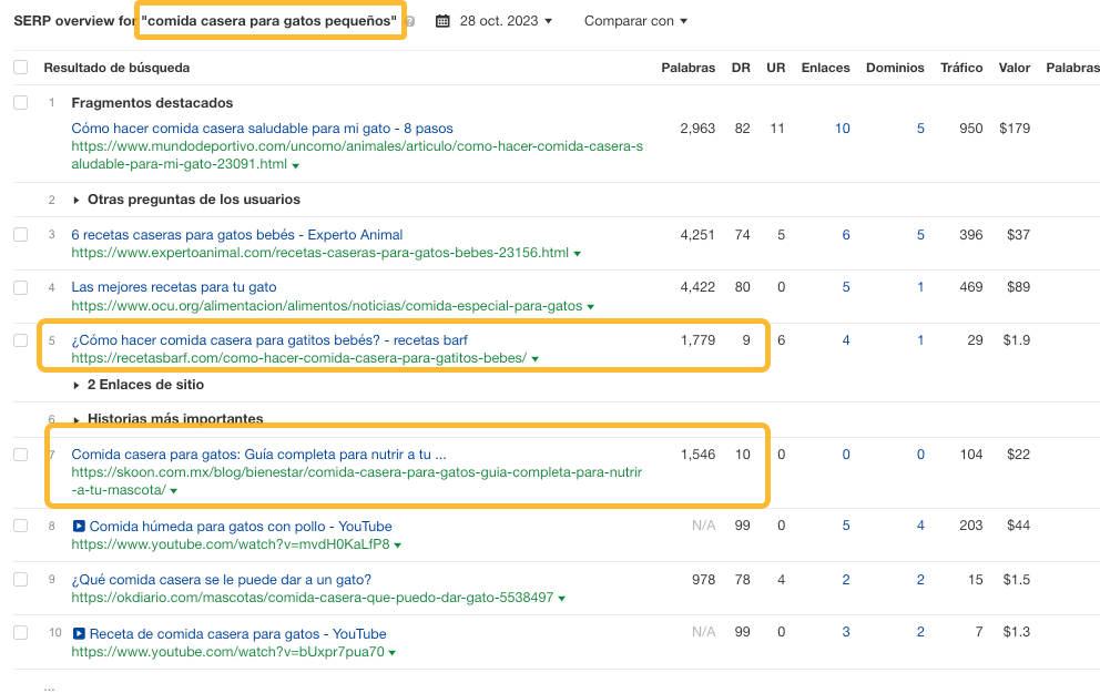 Vista general de la SERP para "comida casera para gatos pequeños", donde vemos 2 resultados con un DR bajo