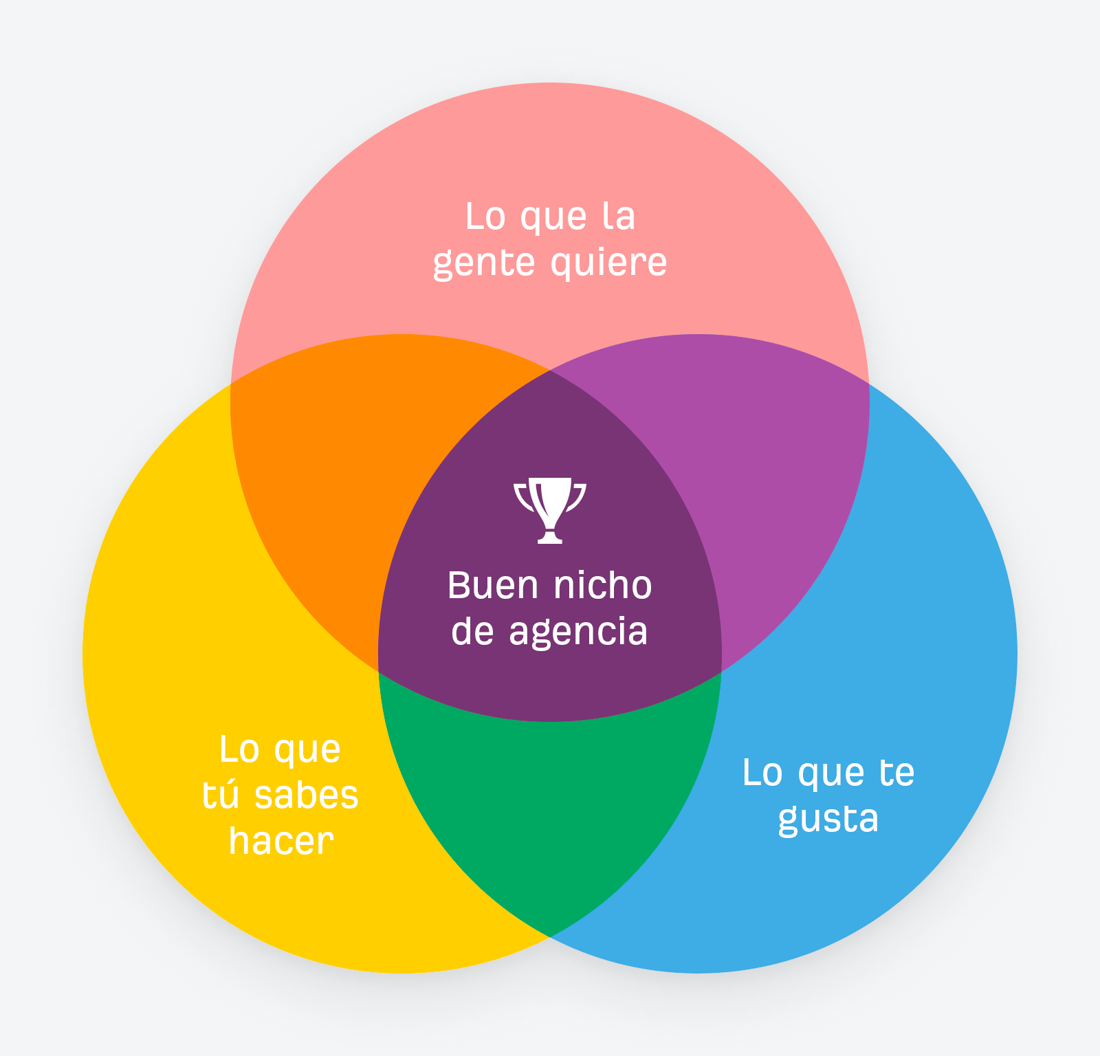 Gráfico explicando cómo encontrar el nicho de una agencia de marketing digital