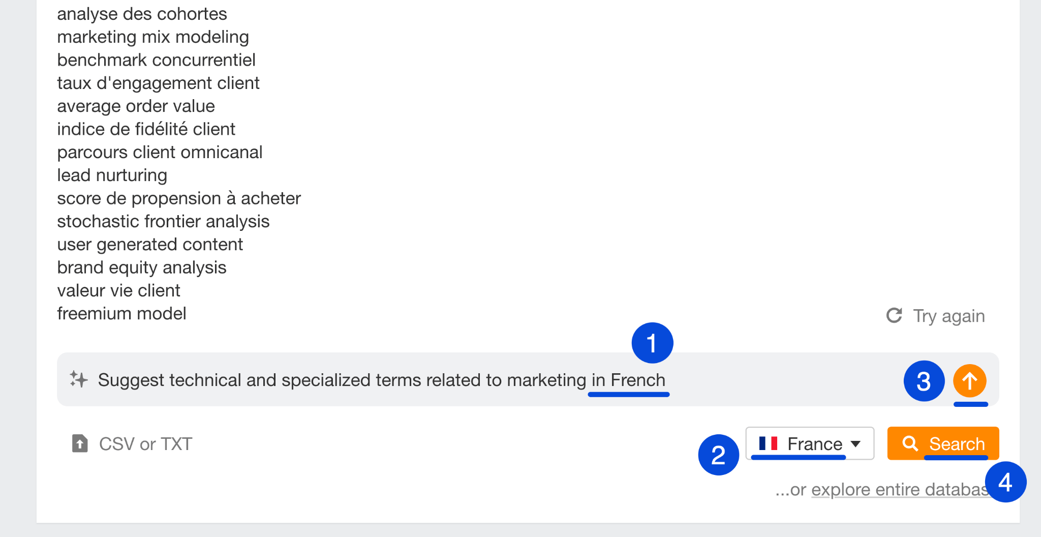 Variación de idioma en la lista de palabras clave de búsqueda de Keywords Explorer.