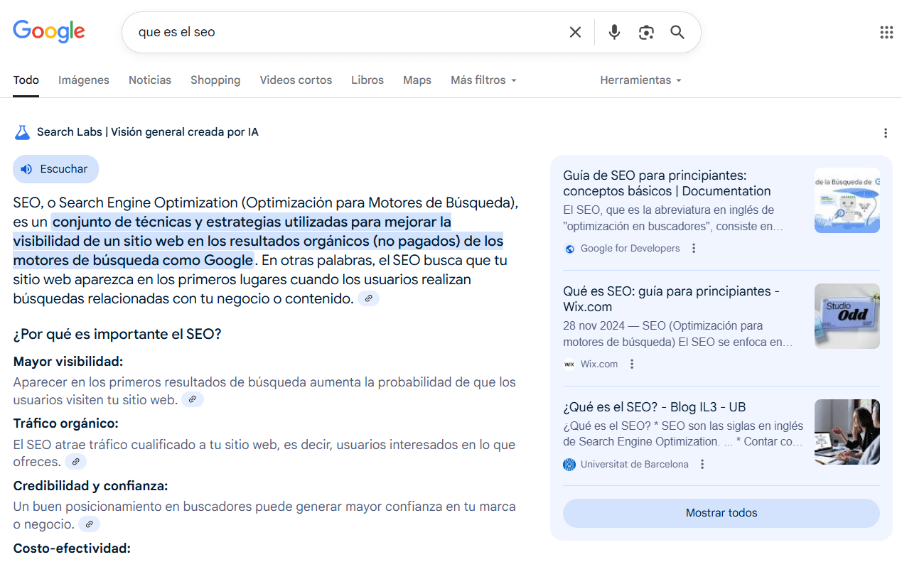 Ejemplo de AI Overview.