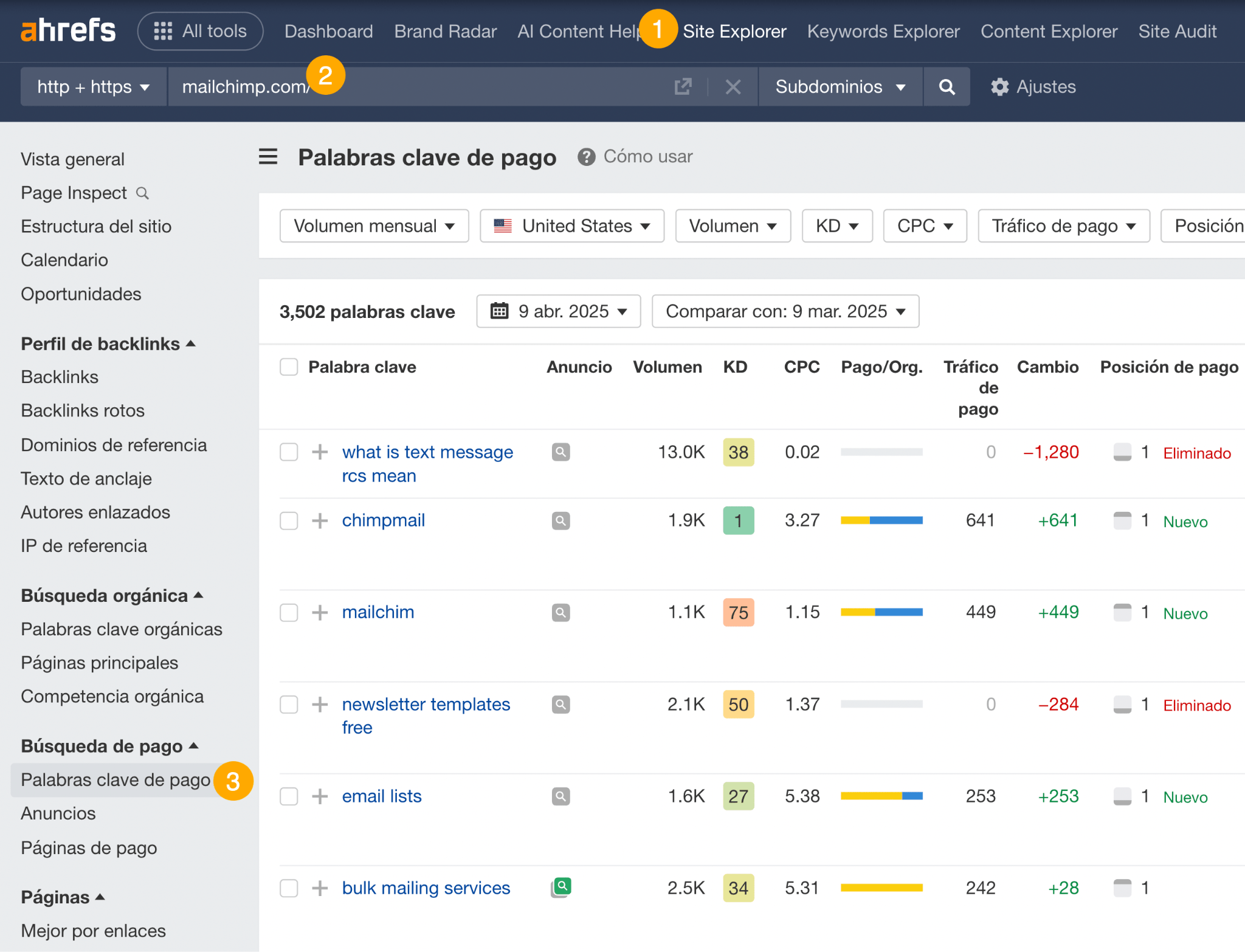 Informe de Palabras clave de pago.