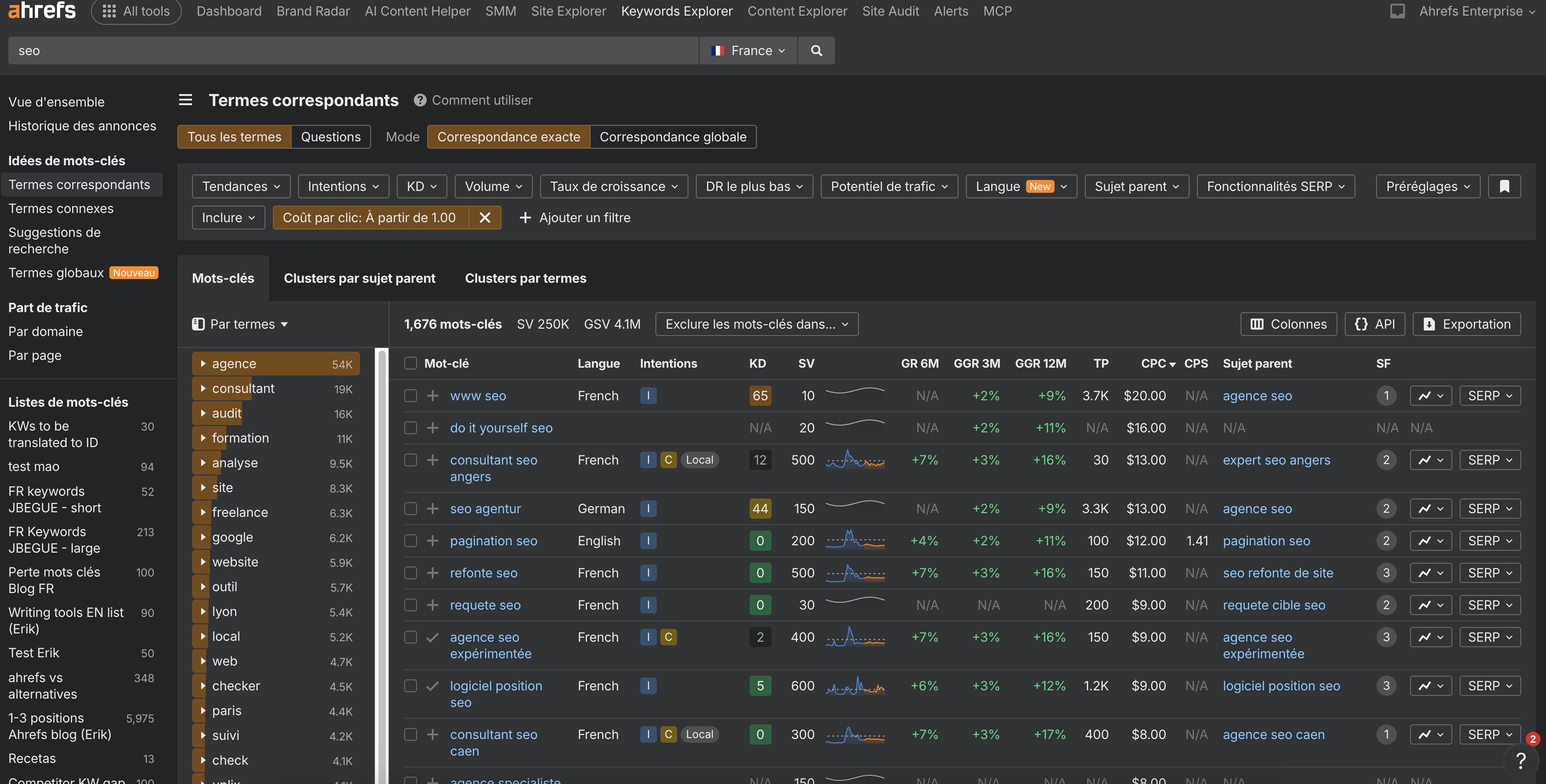 trouver-des-mots-cles-chers-google-ads-pour-rapport-seo-exemple