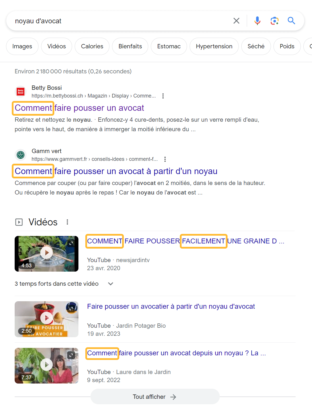 Exemple de recherche dans Google