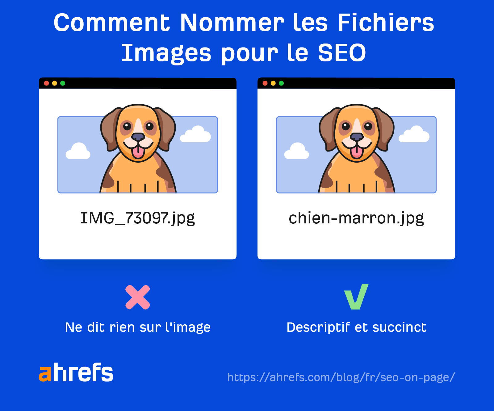 Comment nommer les images pour le SEO