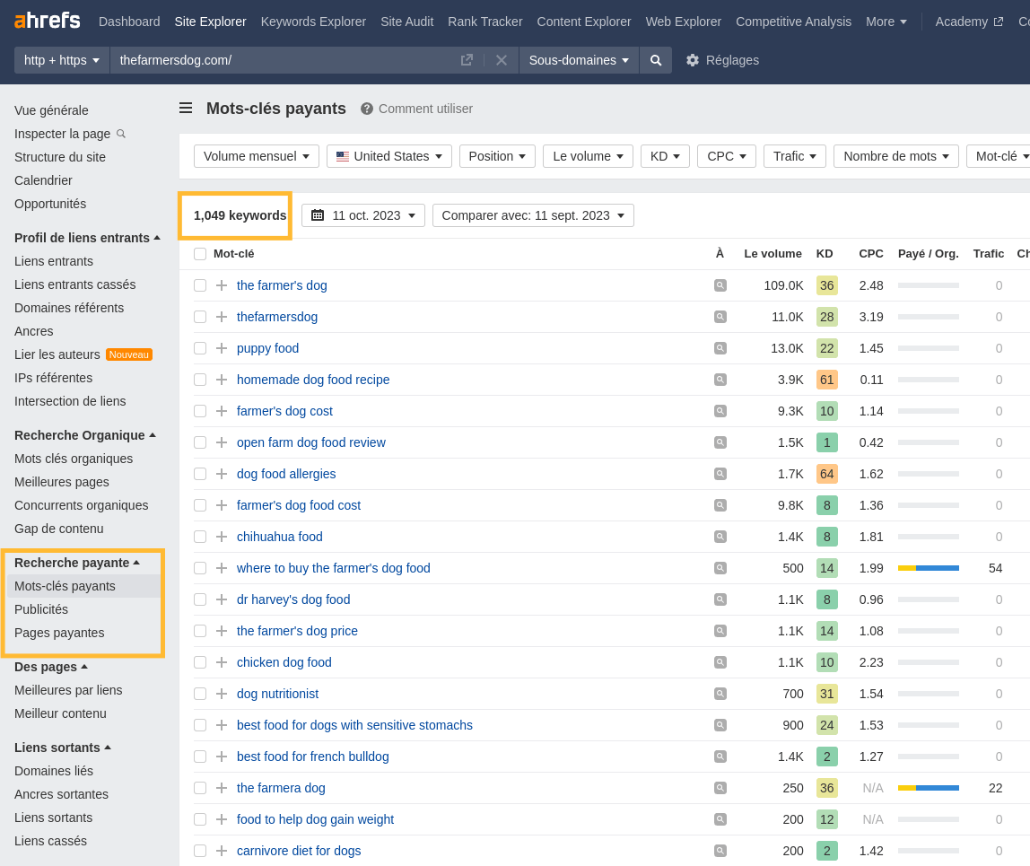 Rapport sur la recherche payée dans Ahrefs' Site Explorer