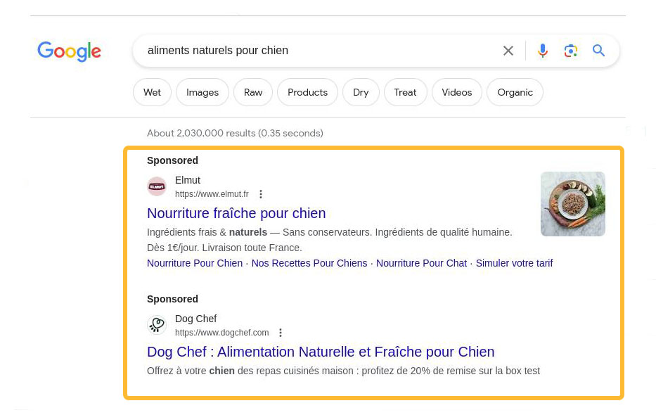 Exemples d'annonces dans Google Search.