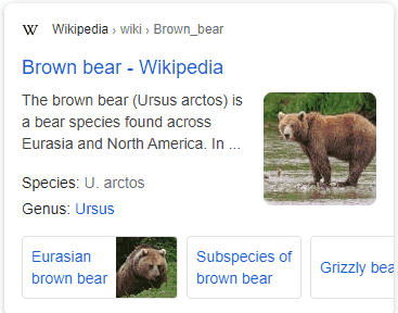 brown-bear-sitelinks-exemple