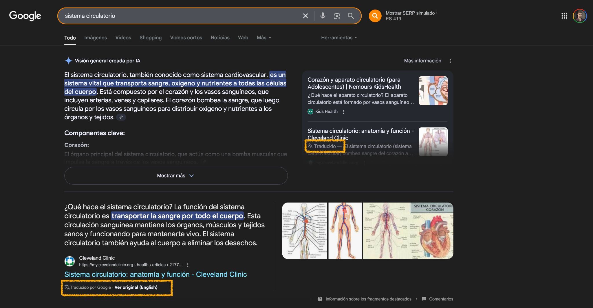検索結果内で英語コンテンツを自然に翻訳する AI Overviews の例