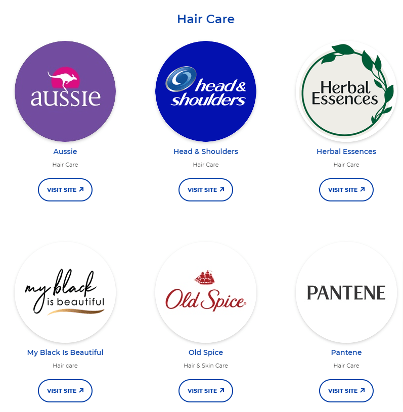 P&G が多数の異なるブランドを展開し、さまざまな市場セグメントをカバーしていることを示すブランドロゴ一覧の画像。