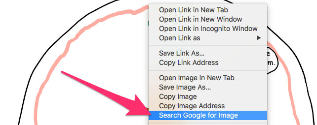 search google for images