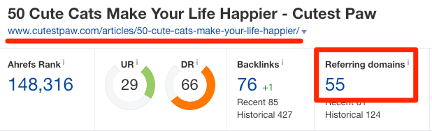 cute cats top ranking