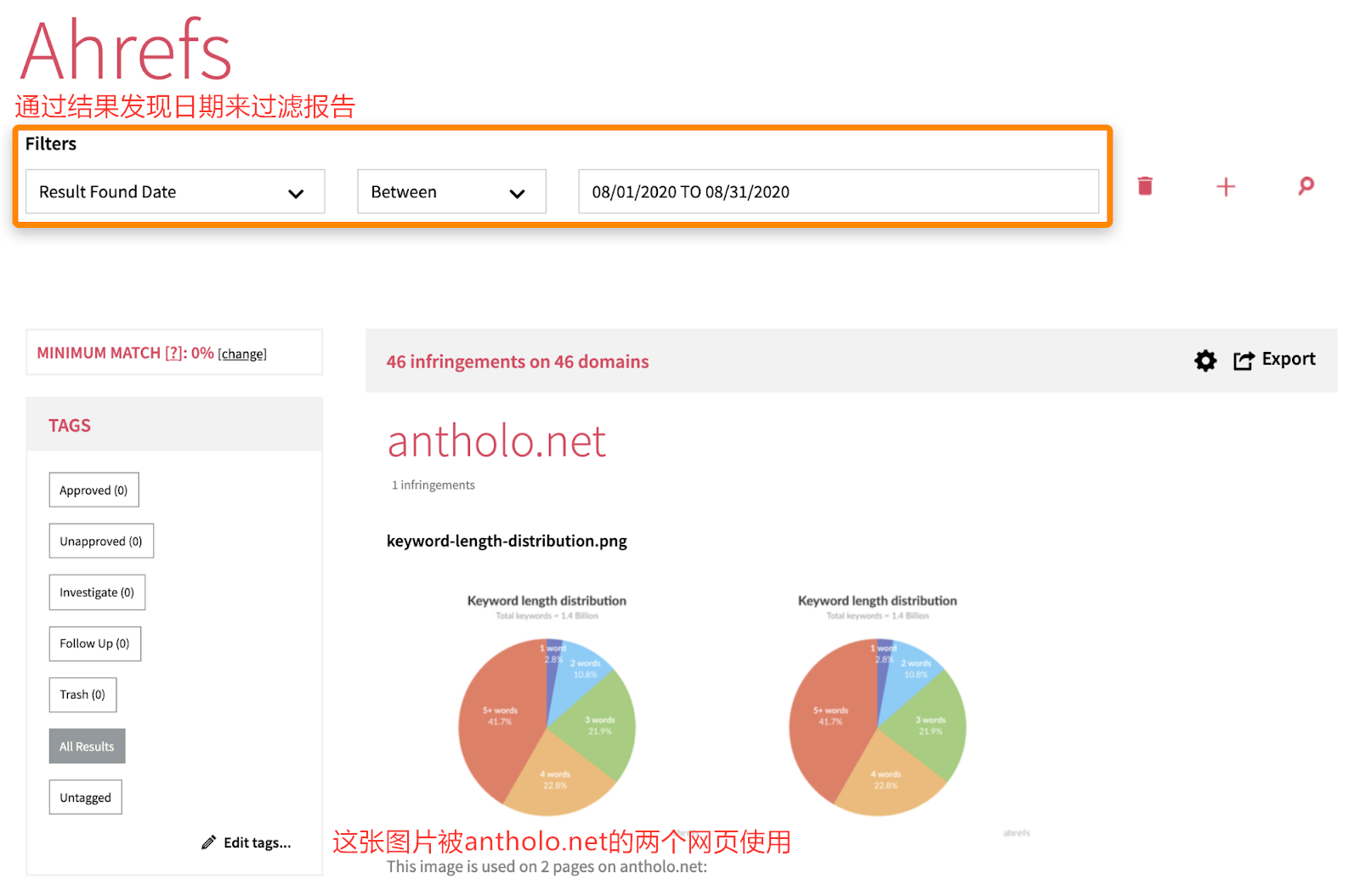 21 image raider results