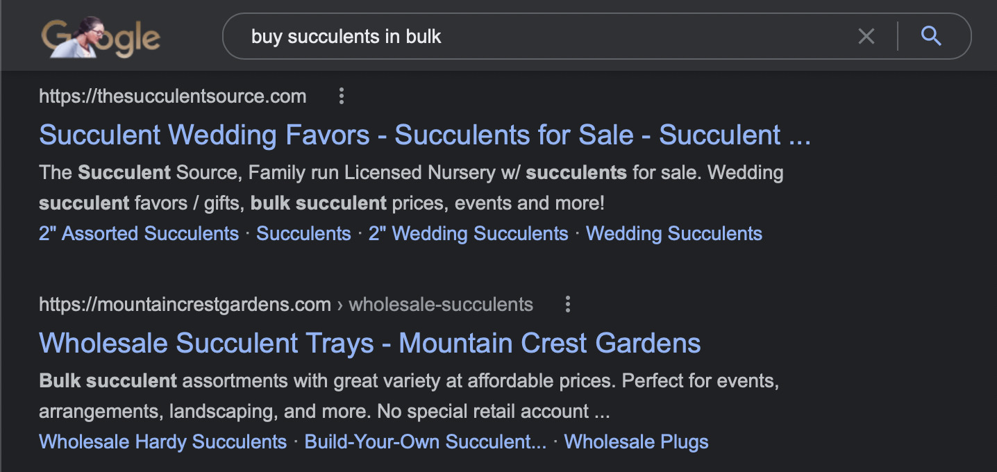 Google SERP of "buy succulents in bulk"
