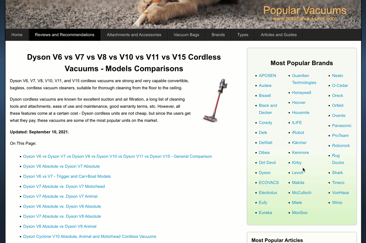 Example of a typical, ugly affiliate site in this niche.