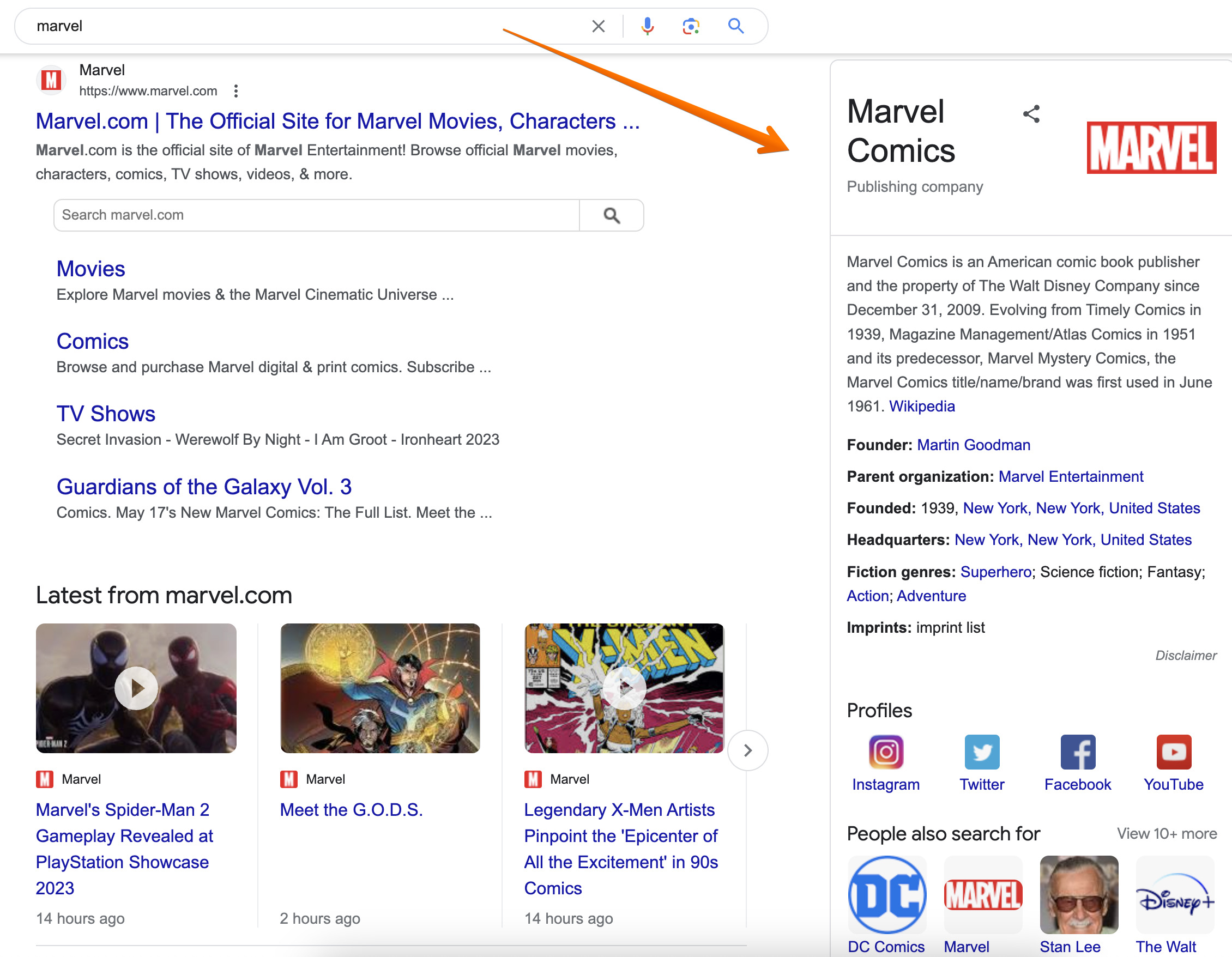 Knowledge graph panel on Google SERP