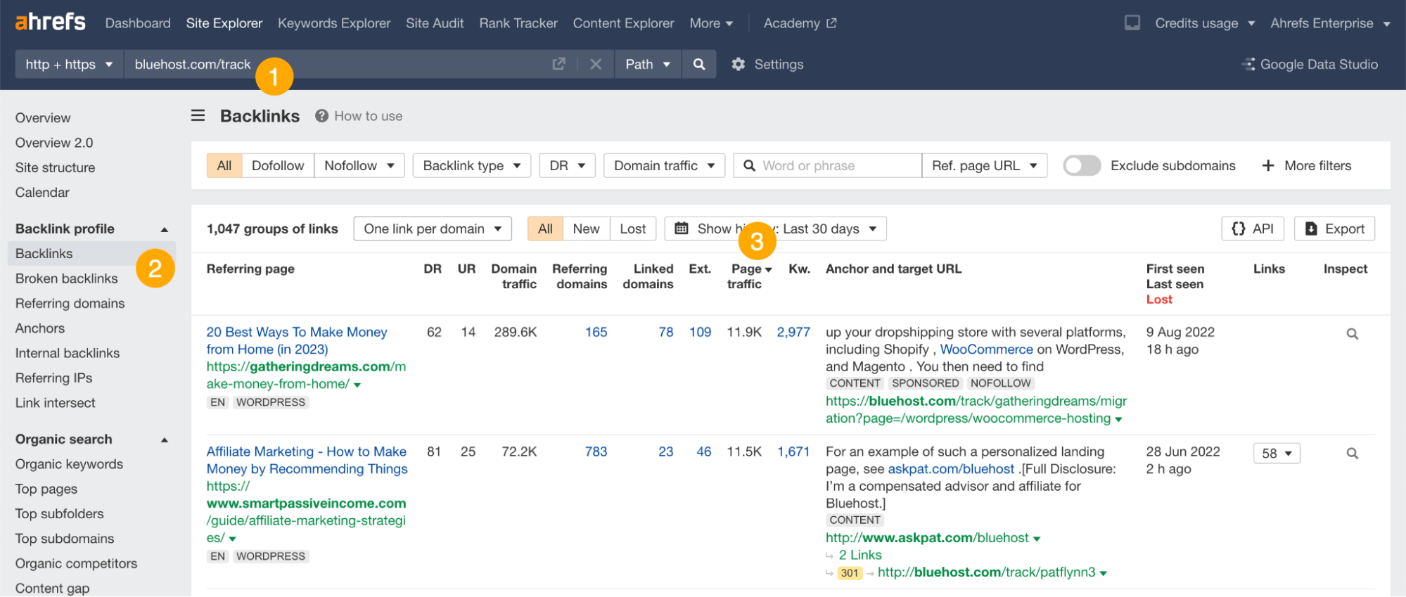 通过 Ahrefs Site Explorer(网站分析)找到的 bluehost.com 分销商列表。