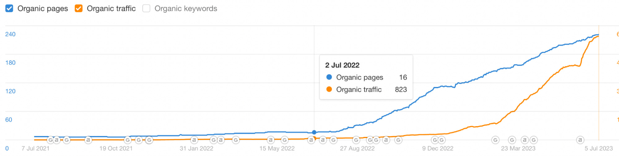 Bigger Garden organic traffic report