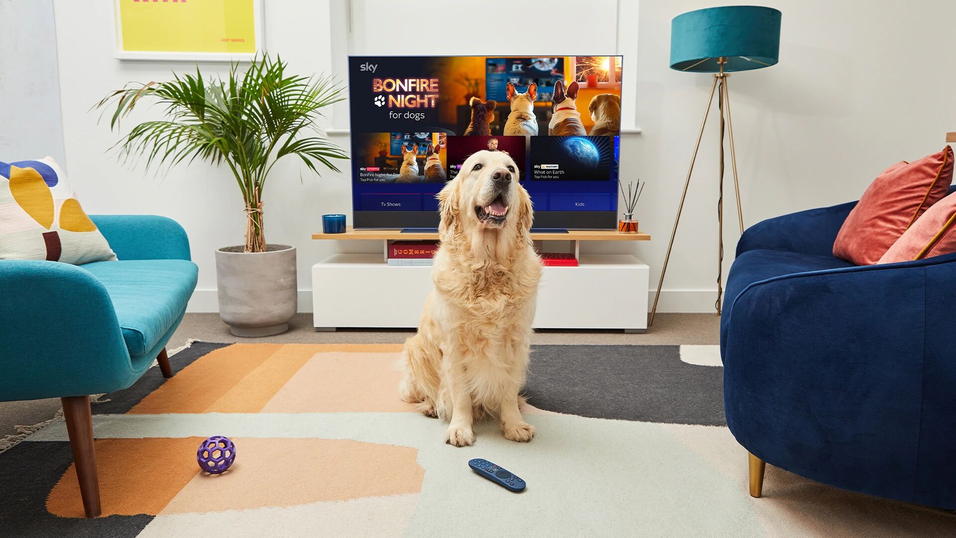 Sky and Dogs Trust: Bonfire Night pop-up TV channel branded content