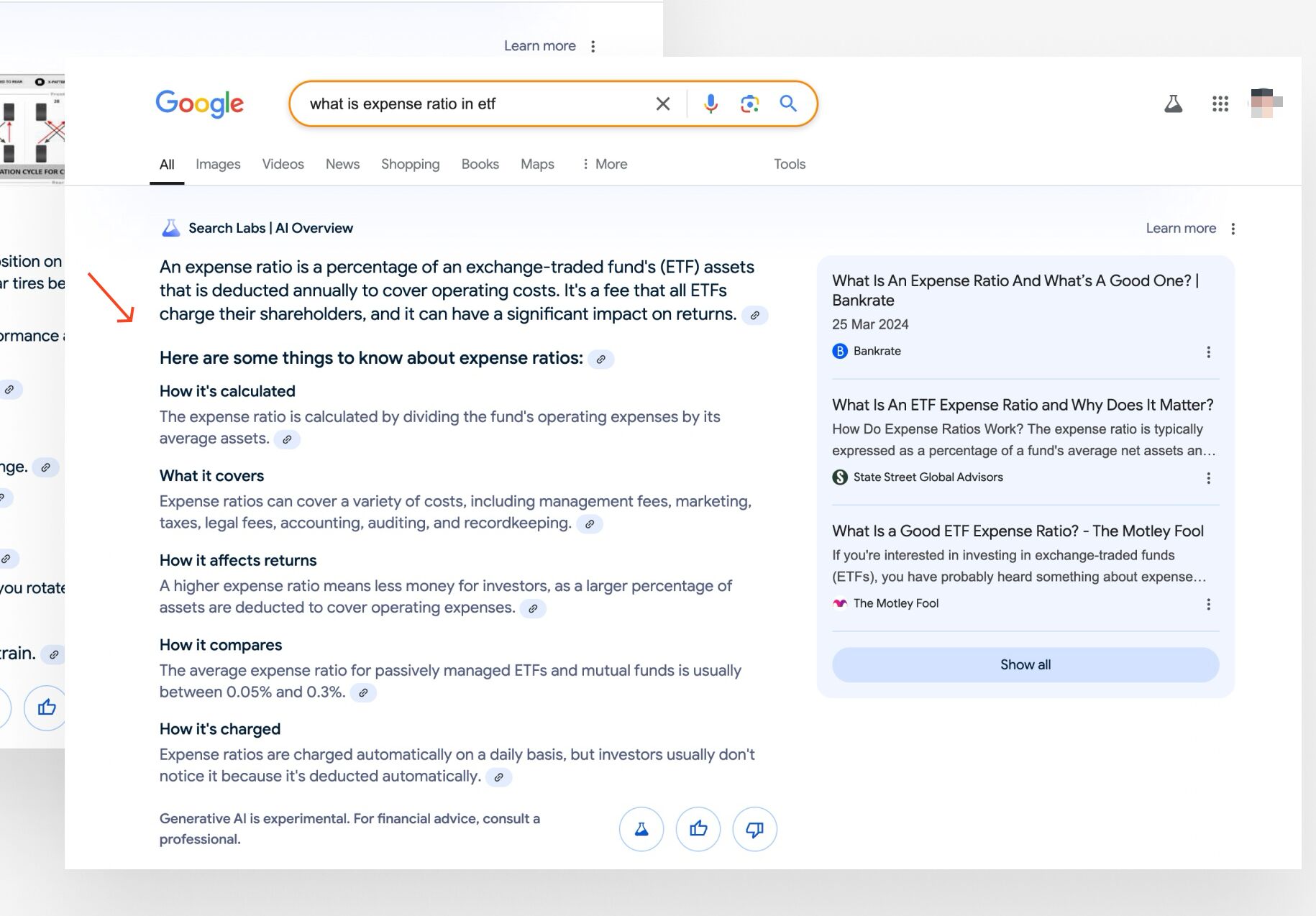 Example of an AI Overview