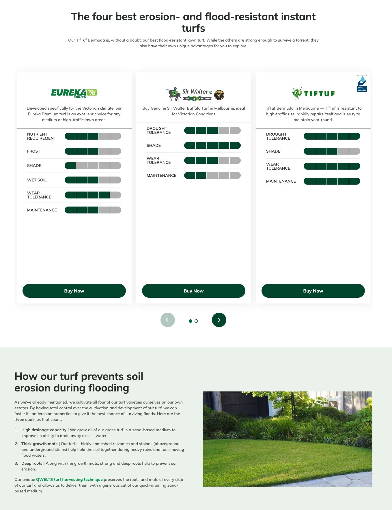Example of a landing page featuring flood-resistant properties of certain strains of turf.