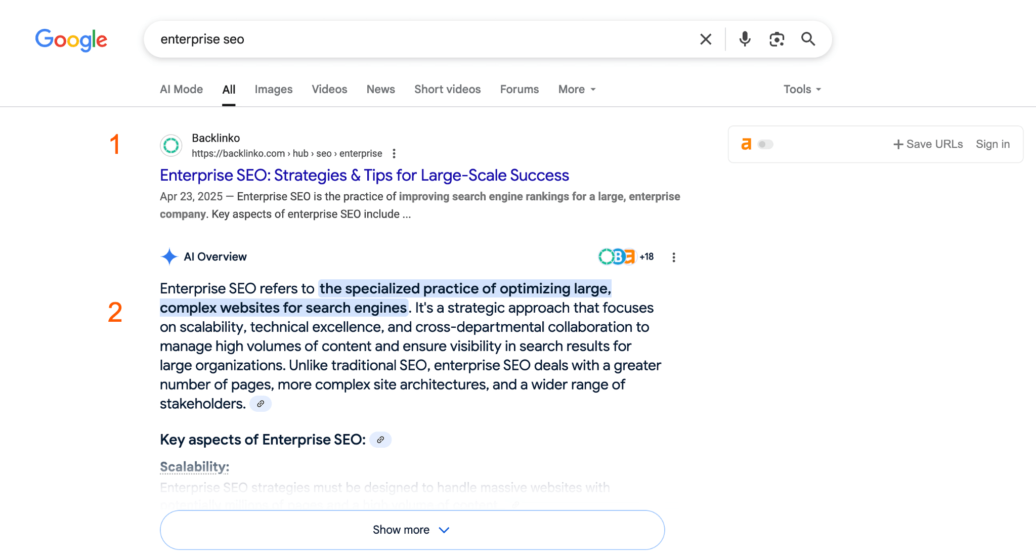 AI overview example in the 2nd position